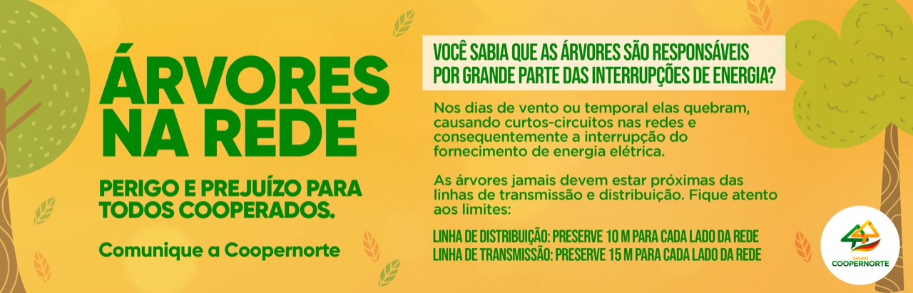 Árvore na rede